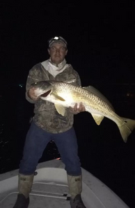 Redfish Adventures in Vero Beach